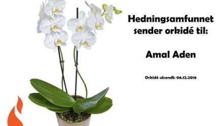 Orkideen-Amal-Aden